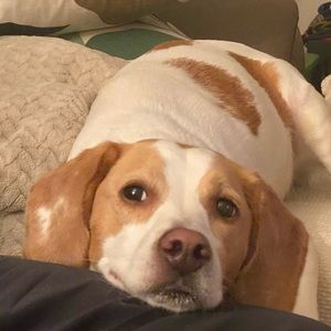 Meet your Posher, Jerry